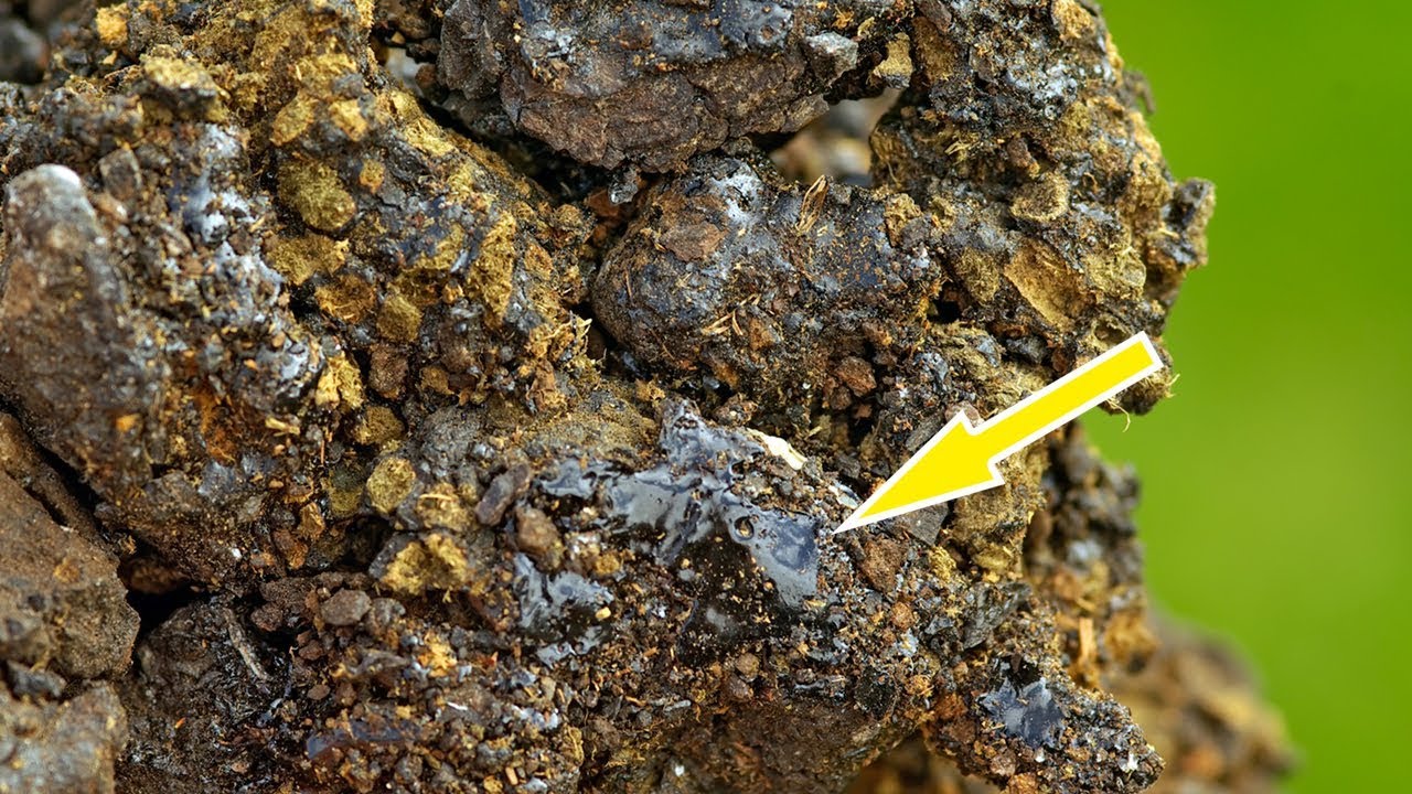 Most expensive and purest Aftaabi Shilajit is used in Majoon by Dr Herbs